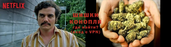 марихуана Заводоуковск