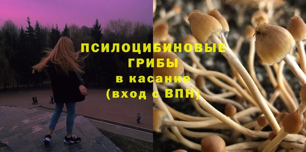марихуана Заводоуковск